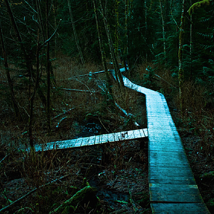 like this forest path will appear when Julie feels threatened.