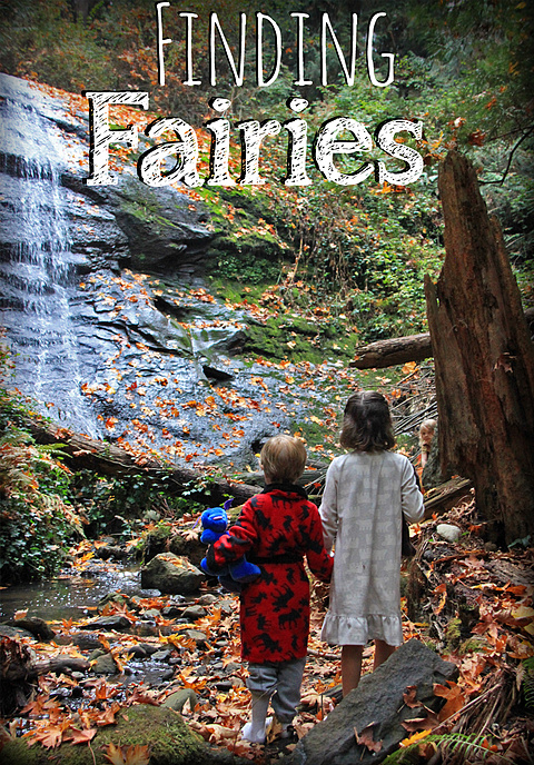 Finding Fairies