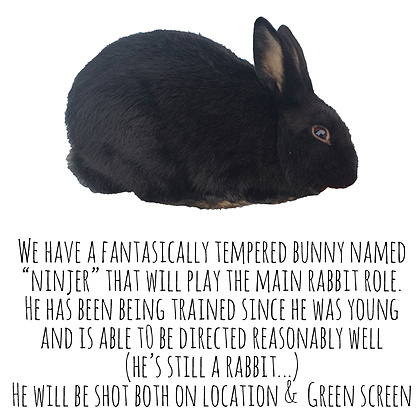 We have a fantasically tempered bunny named “Ninjer” that will play the main rabbit role.

He has been being trained since he was young and is able to be directed reasonably well (he’s still a rabbit...). He will be shot both on location &  on green screen.