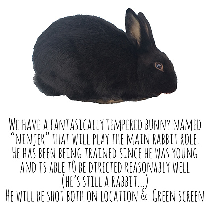 We have a fantasically tempered bunny named “Ninjer” that will play the main rabbit role.

He has been being trained since he was young and is able to be directed reasonably well (he’s still a rabbit...). He will be shot both on location &  on green screen.