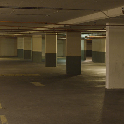 Comedians often hang out in the underground parking garage underneath the Ratfish comedy room, beside Heckler's. They're very comfortable in their natural habitat, which is how we intend to get the best performances out of them.