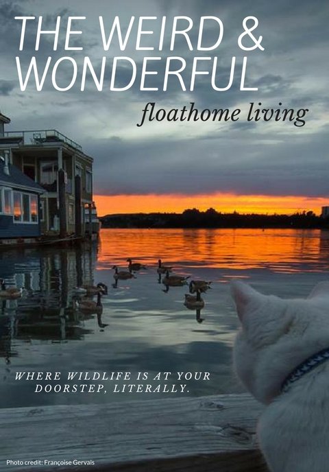 THE WEIRD & WONDERFUL Floathome Living