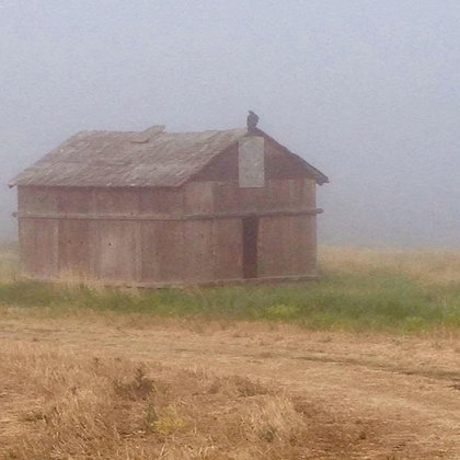 A photo of one of the old buildings on the farm we will be filming at. Located near a river in a land full of valleys and hills, the area is often shrouded in mist, lending a mysterious and creepy atmosphere that would be very useful for setting the atmosphere of the film. 

This building will be used as a tool shop, where Tanner often hides to escape his father's cutting gaze. It is also in this building that he finds an old trinket that belonged to his mother; one that will become pivotal near the end of the film.