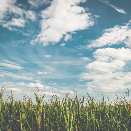 Timelapses of fields and vast blue sky will help the audience to feel a greater connection to the majesty of Alberta's rolling prairies. At times It will also help to reinforce that a farmer's livelihood is always a race against frost, drought, hail, and most importantly time.