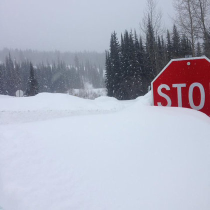 The winter of 2017/2018 was a great year for snowfall up at Sun Peaks. While extraordinarily beautiful, and great for the resort's ski culture, it also meant that volunteer searchers spent the first few months digging through snow up to 14 feet deep.