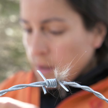 Use shallow depth of field whenever possible to draw attention to details in the photograph.