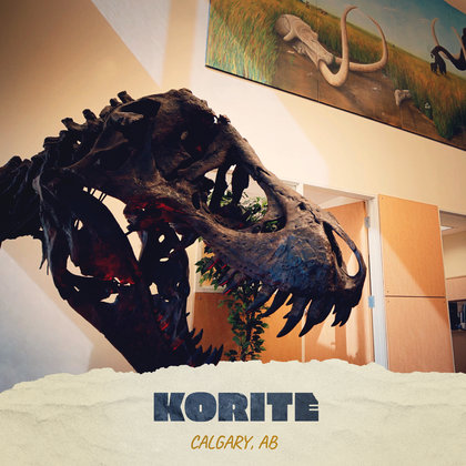 We will be filming at KORITE's Headquarters located in Calgary, AB. KORITE currently controls 90% of the world's deposit of gem quality ammolite.