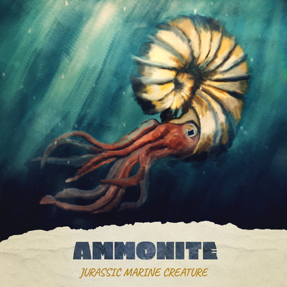 3D modeling & VFX will be used to tell the historic story of the transformation of the Jurassic marine creature, Ammonite into ammolite.