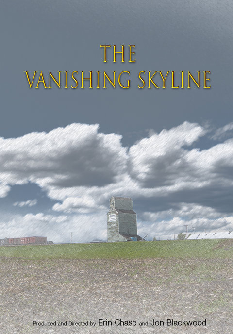 The Vanishing Skyline