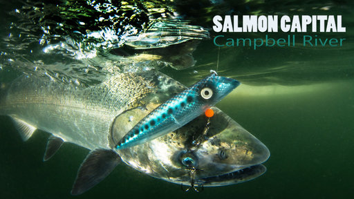 Salmon Capital - Campbell River