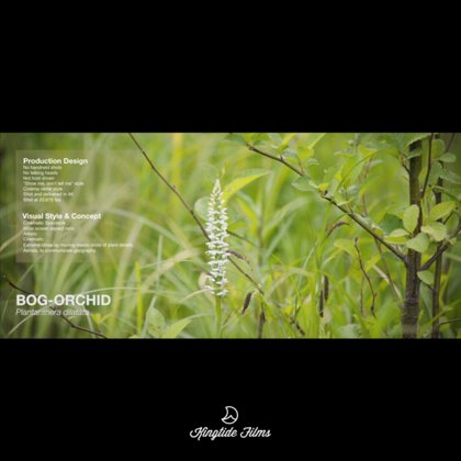 “Show me, don’t tell me” style
Cinéma vérité style
Shot and delivered in 4K
Shot at 23.976 fps
Cinematic Spectacle
Wide screen aspect ratio
Artistic
Cinematic
Extreme close up moving macro shots of plant details.
Aerials, to communicate geography.
No handheld shots
No talking heads
Not host driven