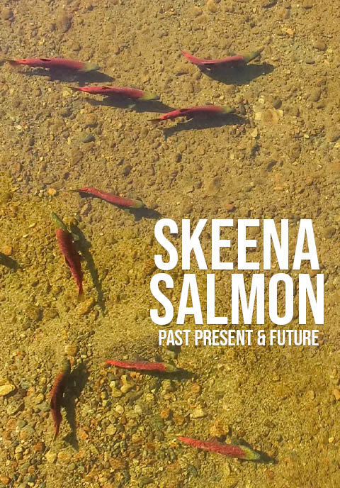 Skeena Salmon past present and future with Captain Quinn