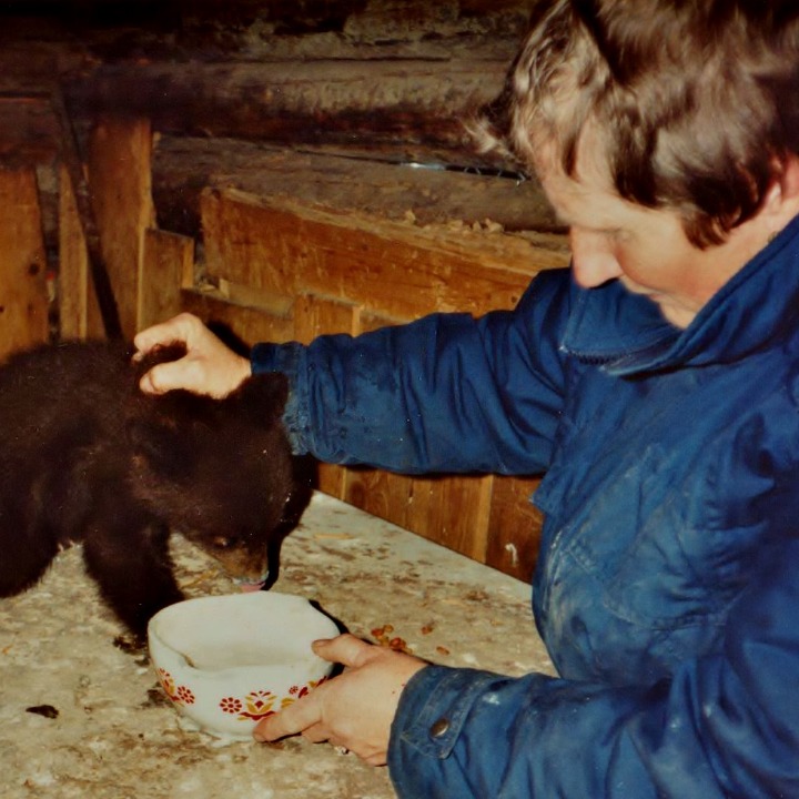 This is one of the orphaned baby bear cubs that Helen had taken in and cared for, these will appear when we dive into Helens history. The use of these will be to show how long Helen has been doing this for and her relentless passion for caring for these animals.